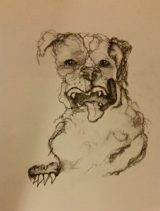 Romeo Graphite and ink on paper By Cat Jones