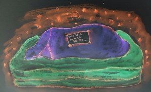 2016-03-13 14.57.02
