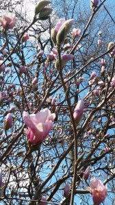 20160321_153030