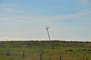 Friar Needs a Lamb. (Photographed by the author, somewhere out west.) 