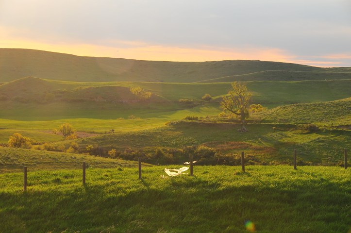 Communion in the fields of the Lord. (Photographed by the author in Wyoming.)