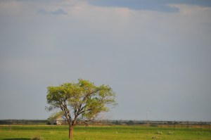 Old Religion in the Badlands. (Photographed by the author, somewhere in South Dakota.) 
