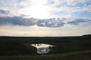 DSC_0273